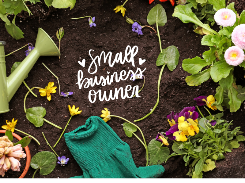 How to Turn a Small Garden Into a Micro Farm Business (Step-by-Step 2026 SEO Guide)